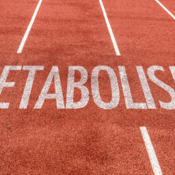 Quali fattori influenzano il metabolismo?